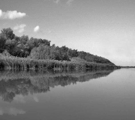 Ізмаїльсько-Білгород-Дністровський геоботанічний округ